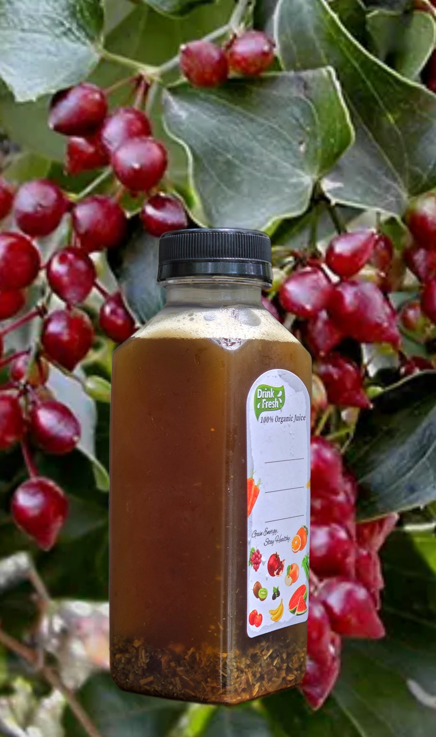 "Sick no more" Energy & immune tea RECIPE (digital download)